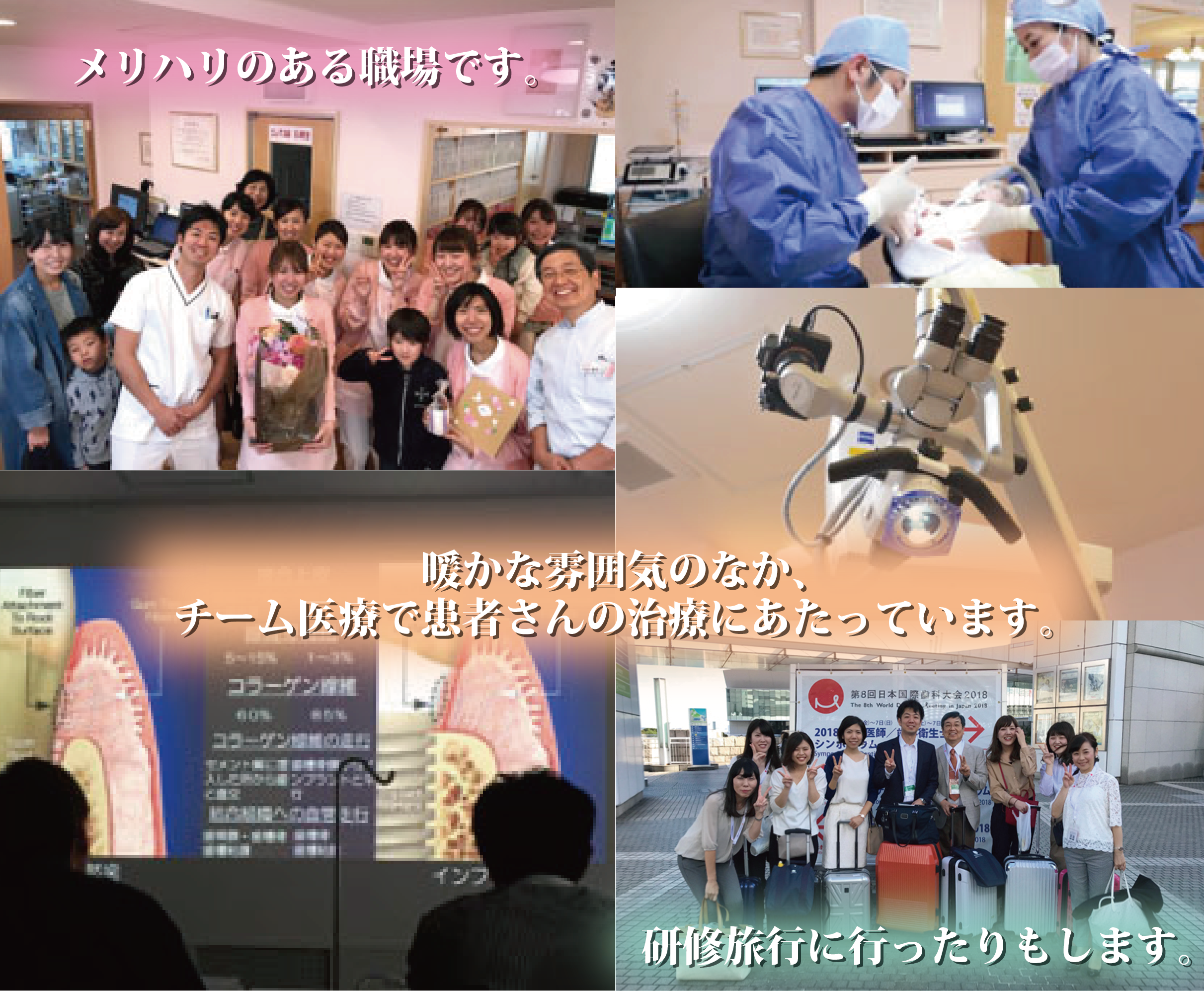 うちだ歯科歯科医師求人
