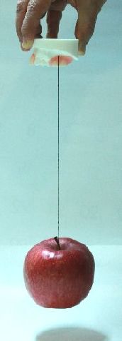 縫い糸を結ばずに挟んだだけでもリンゴが浮き上がるほどの密着力！！