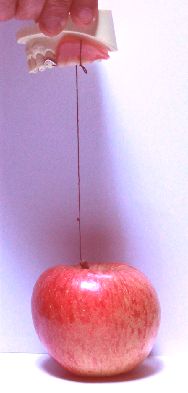 外れにくいが歯茎から浮くので物が挟まる事が多く、